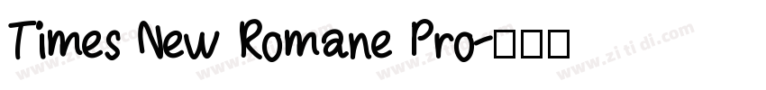 Times New Romane Pro字体转换